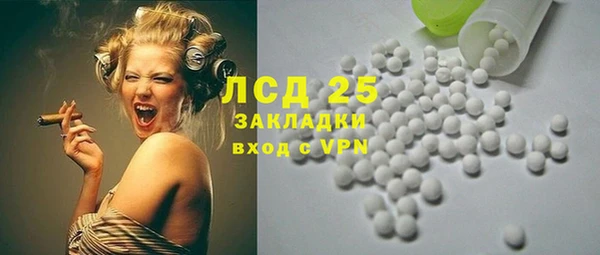 СК Волоколамск
